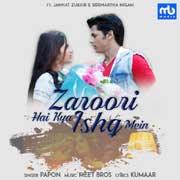 Zaroori Hai Kya Ishq Mein - Papon And Meet Bros Mp3 Song